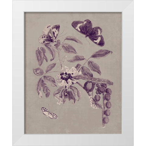 Nature Study in Plum and Taupe II White Modern Wood Framed Art Print by Merian, Maria S.
