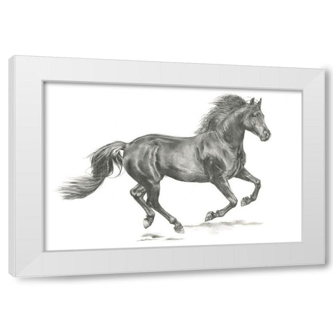 Wild Horse Portrait II White Modern Wood Framed Art Print by Parker, Jennifer Paxton