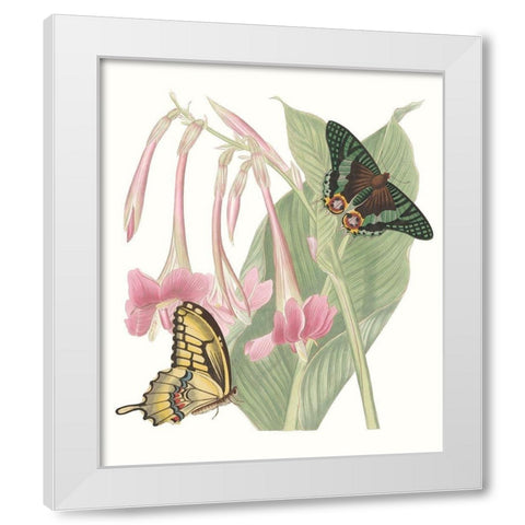 Les Papillons II White Modern Wood Framed Art Print by Vision Studio