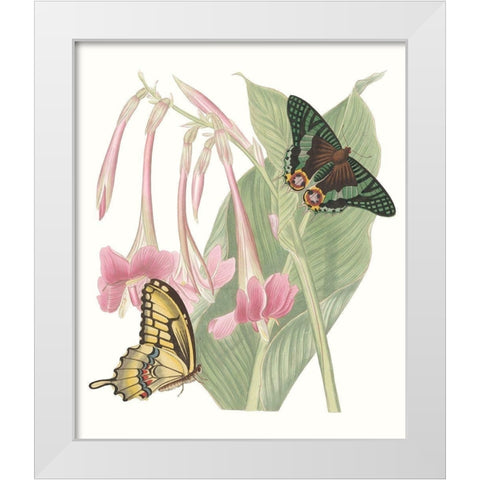 Les Papillons II White Modern Wood Framed Art Print by Vision Studio