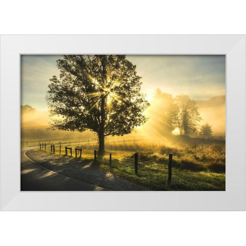 Custom Wake Up Call White Modern Wood Framed Art Print by Head, Danny