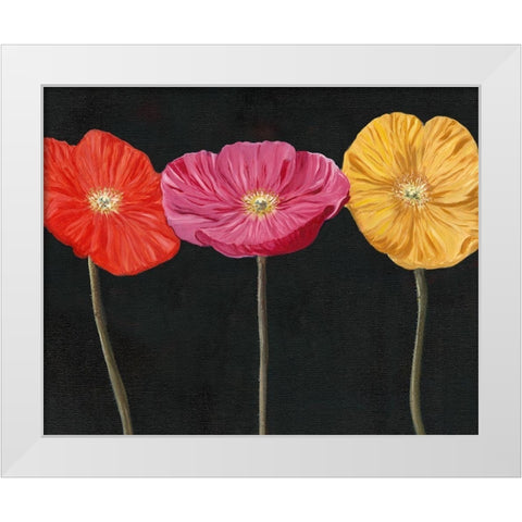 Poppy Trio II White Modern Wood Framed Art Print by Iafrate, Sandra