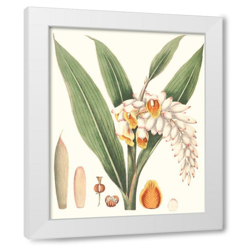 Soft Tropical I White Modern Wood Framed Art Print by Smith, George