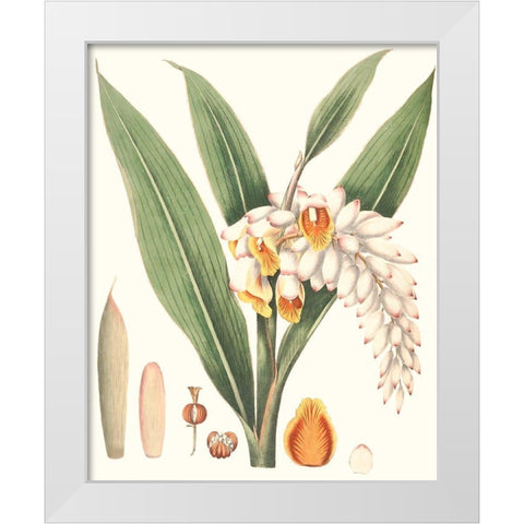 Soft Tropical I White Modern Wood Framed Art Print by Smith, George