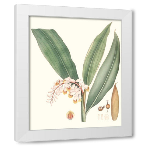 Soft Tropical II White Modern Wood Framed Art Print by Smith, George