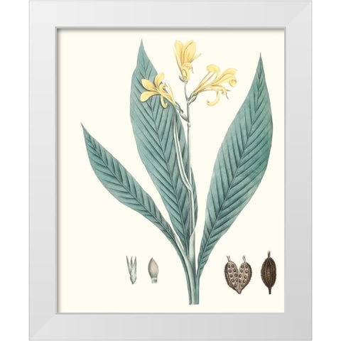 Soft Tropical IV White Modern Wood Framed Art Print by Smith, George