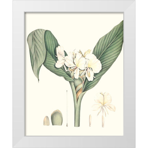 Soft Tropical V White Modern Wood Framed Art Print by Smith, George
