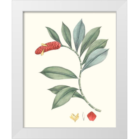 Soft Tropical VI White Modern Wood Framed Art Print by Smith, George