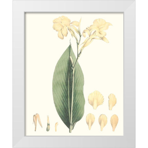 Soft Tropical VII White Modern Wood Framed Art Print by Smith, George