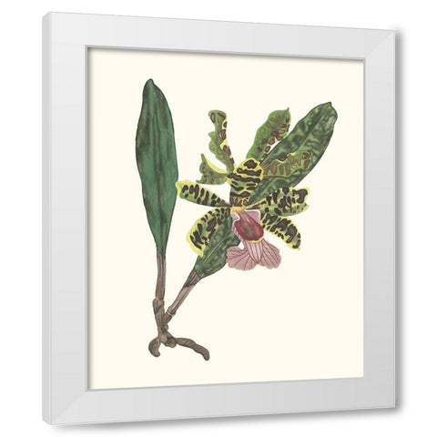 Orchid Display II White Modern Wood Framed Art Print by Wang, Melissa