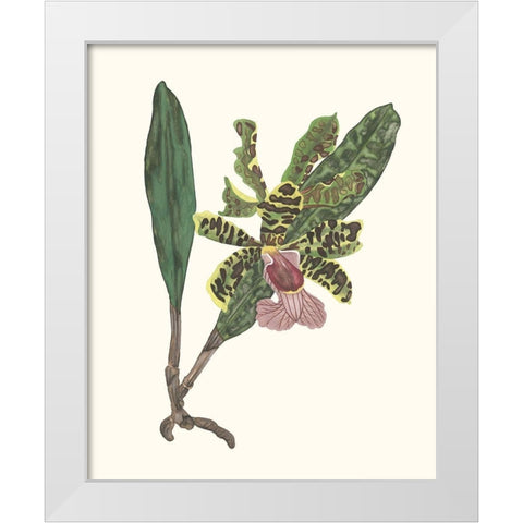 Orchid Display II White Modern Wood Framed Art Print by Wang, Melissa