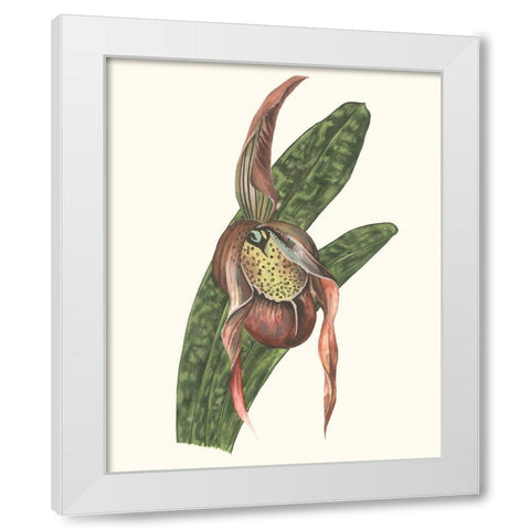 Orchid Display IV White Modern Wood Framed Art Print by Wang, Melissa
