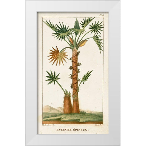Turpin Exotic Palms I White Modern Wood Framed Art Print by Turpin