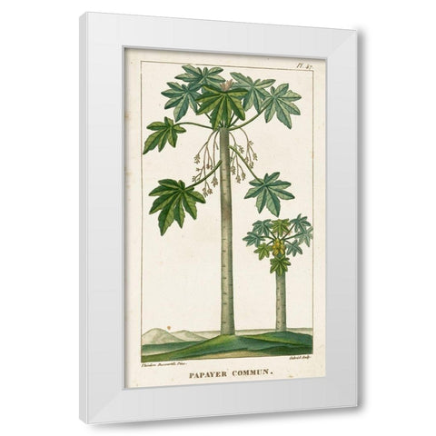 Turpin Exotic Palms II White Modern Wood Framed Art Print by Turpin