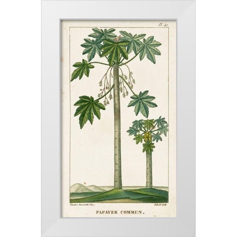 Turpin Exotic Palms II White Modern Wood Framed Art Print by Turpin