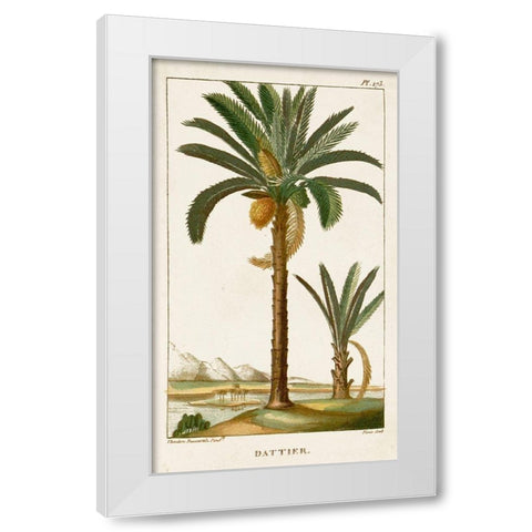 Turpin Exotic Palms IV White Modern Wood Framed Art Print by Turpin