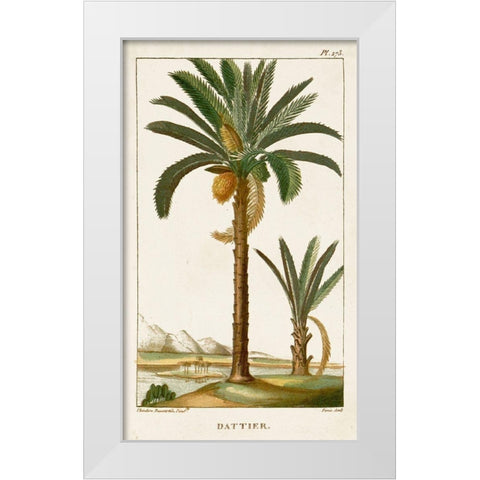 Turpin Exotic Palms IV White Modern Wood Framed Art Print by Turpin