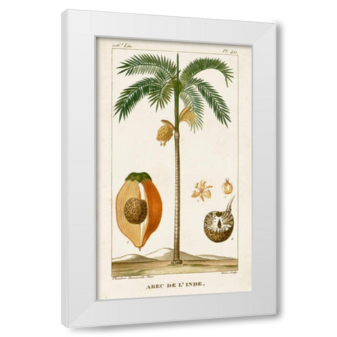 Turpin Exotic Palms V White Modern Wood Framed Art Print by Turpin
