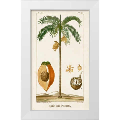 Turpin Exotic Palms V White Modern Wood Framed Art Print by Turpin