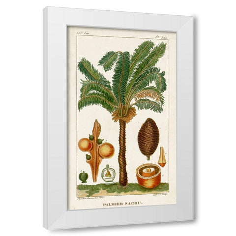Turpin Exotic Palms VII White Modern Wood Framed Art Print by Turpin