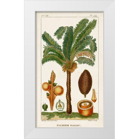Turpin Exotic Palms VII White Modern Wood Framed Art Print by Turpin