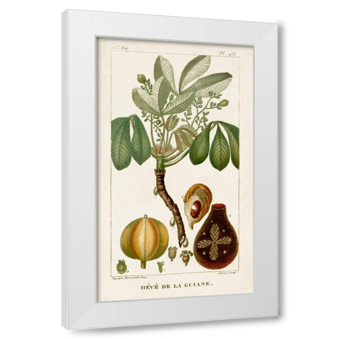 Turpin Exotic Palms VIII White Modern Wood Framed Art Print by Turpin
