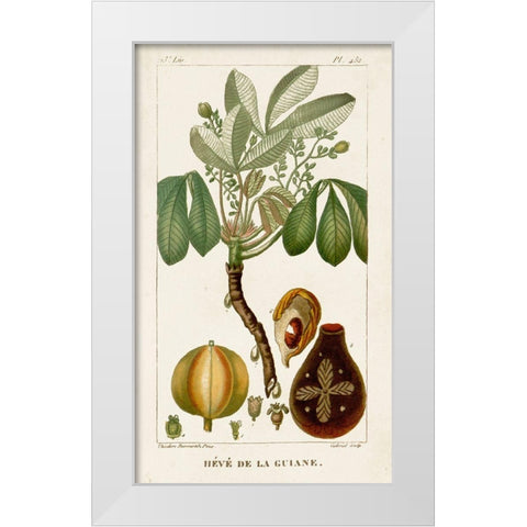 Turpin Exotic Palms VIII White Modern Wood Framed Art Print by Turpin