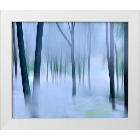 Misty Mountains XVI White Modern Wood Framed Art Print by McLoughlin, James