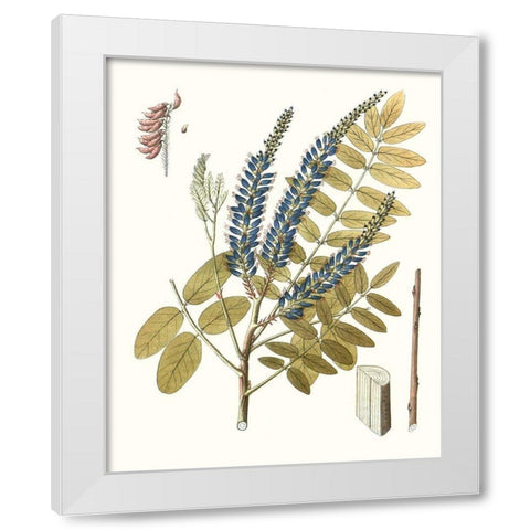 Lacy Leaves II White Modern Wood Framed Art Print by Unknown