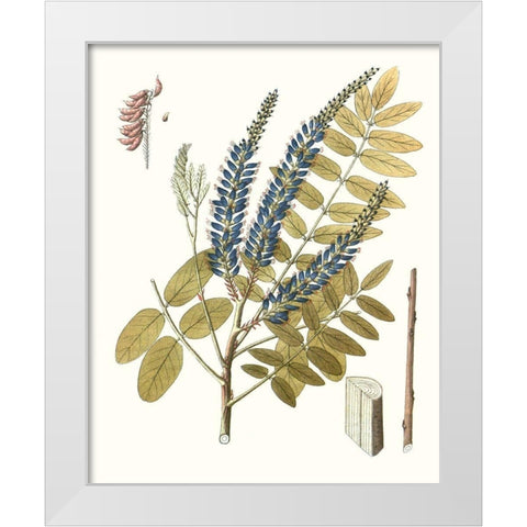 Lacy Leaves II White Modern Wood Framed Art Print by Unknown
