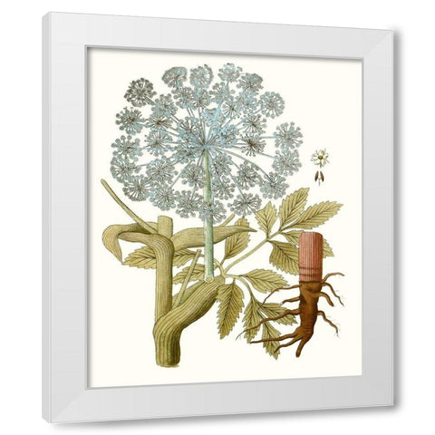 Lacy Leaves III White Modern Wood Framed Art Print by Unknown