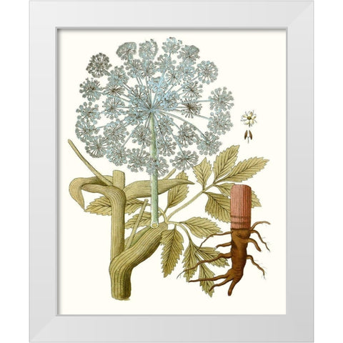 Lacy Leaves III White Modern Wood Framed Art Print by Unknown