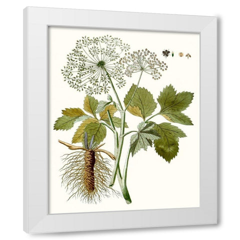 Lacy Leaves IV White Modern Wood Framed Art Print by Unknown
