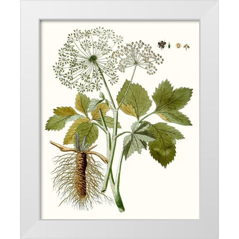 Lacy Leaves IV White Modern Wood Framed Art Print by Unknown