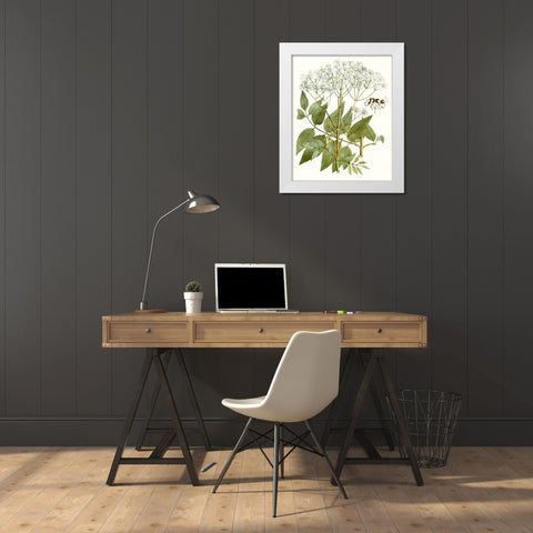Lacy Leaves V White Modern Wood Framed Art Print by Unknown