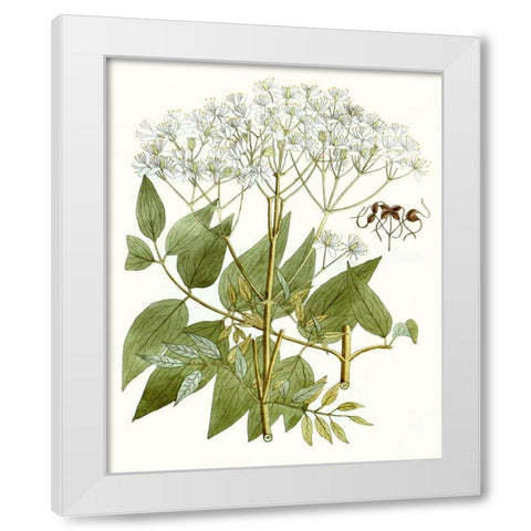Lacy Leaves V White Modern Wood Framed Art Print by Unknown