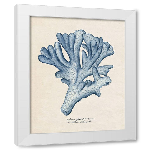 Sea Coral Study I White Modern Wood Framed Art Print by Wang, Melissa