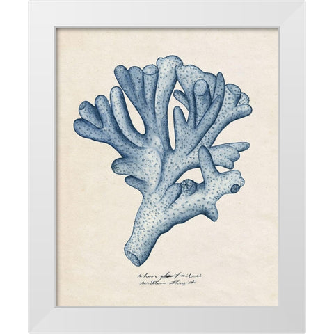 Sea Coral Study I White Modern Wood Framed Art Print by Wang, Melissa