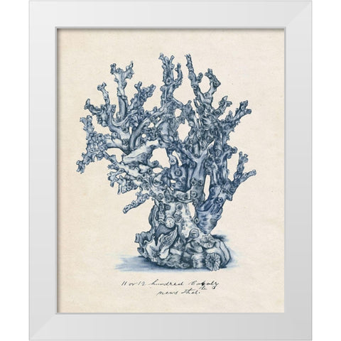 Sea Coral Study IV White Modern Wood Framed Art Print by Wang, Melissa