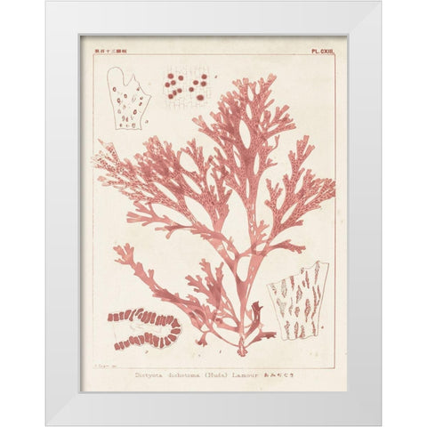Antique Coral Seaweed I White Modern Wood Framed Art Print by Vision Studio