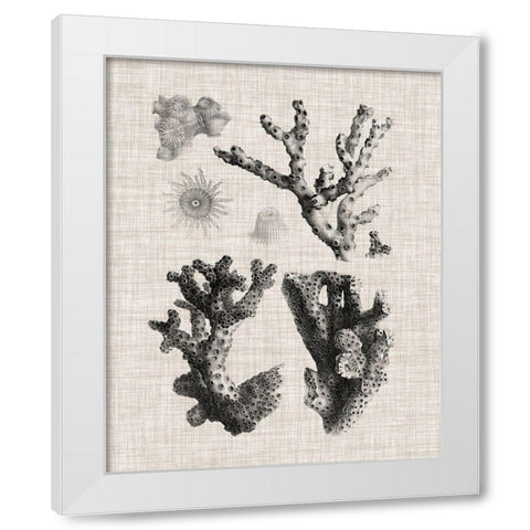 Coral Specimen I White Modern Wood Framed Art Print by Vision Studio