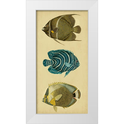 Trio of Tropical Fish III White Modern Wood Framed Art Print by Vision Studio
