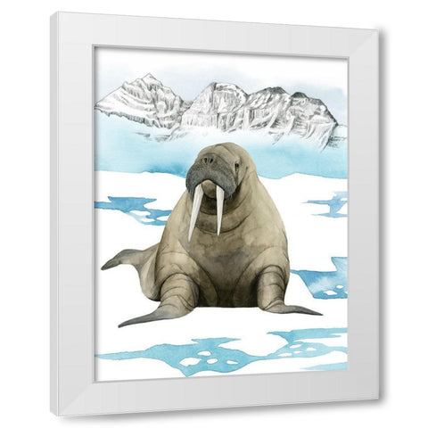 Arctic Animal III White Modern Wood Framed Art Print by Popp, Grace