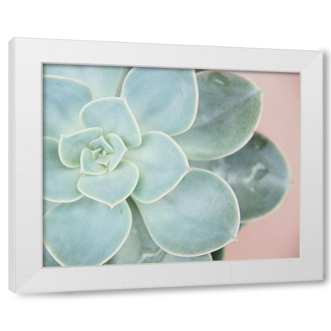 Succulent Glow IV White Modern Wood Framed Art Print by Johnson, Jason