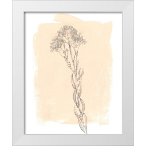 Branch on Blush I White Modern Wood Framed Art Print by Goldberger, Jennifer
