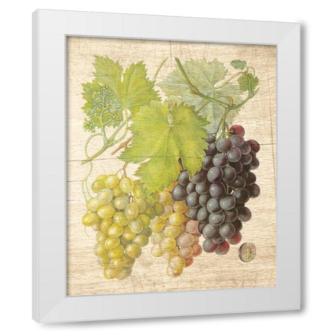Grapevine I White Modern Wood Framed Art Print by Nobleworks Inc.