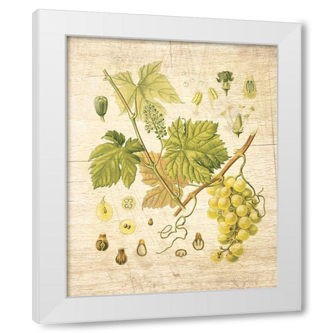 Grapevine II White Modern Wood Framed Art Print by Nobleworks Inc.