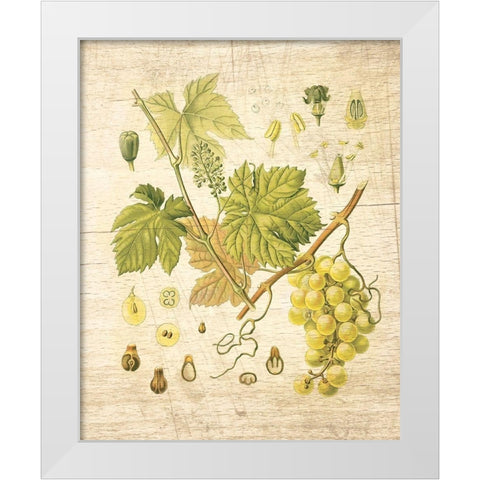 Grapevine II White Modern Wood Framed Art Print by Nobleworks Inc.