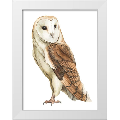 Alba II White Modern Wood Framed Art Print by Popp, Grace