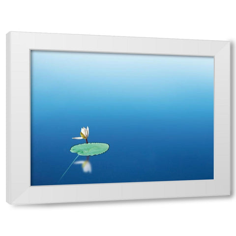 Lilypad I White Modern Wood Framed Art Print by McLoughlin, James